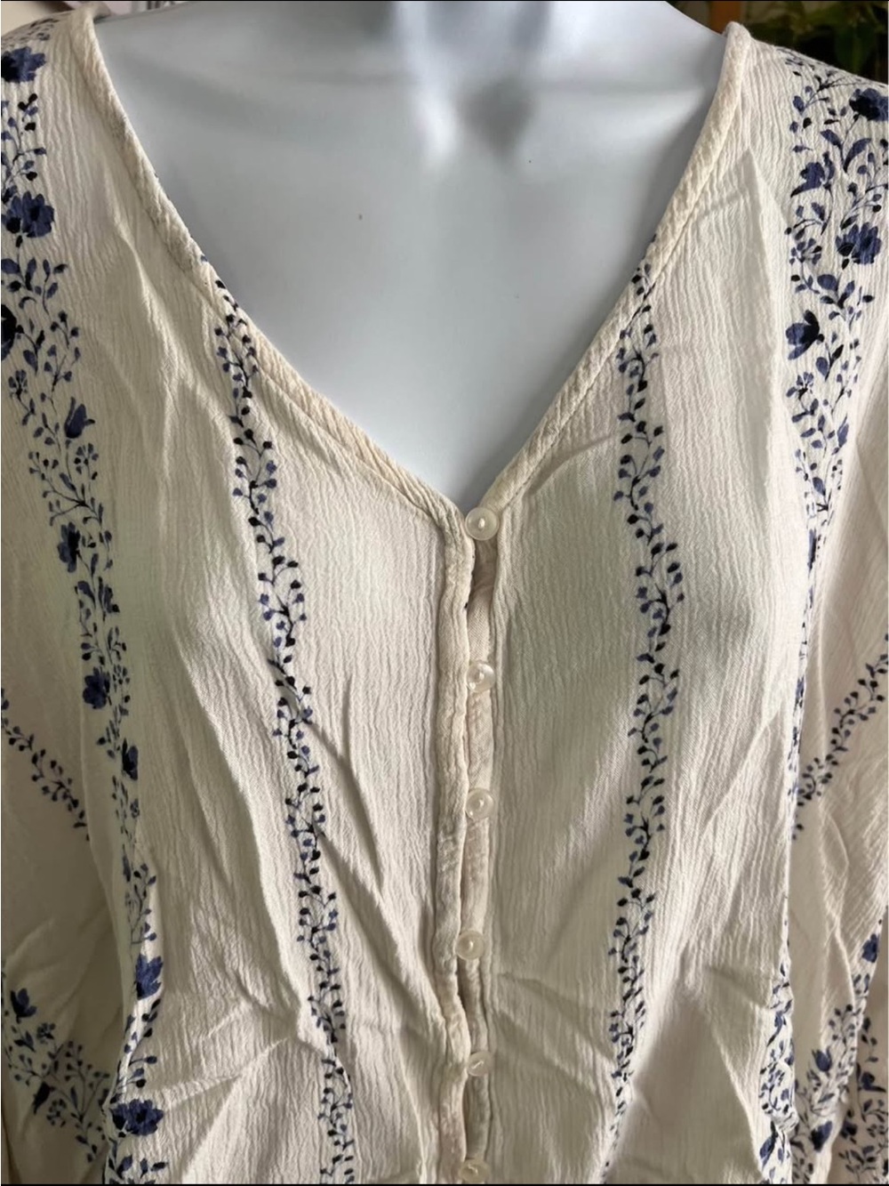 Dex Cream Button-Front V-Neck Top with Blue Floral Stripe